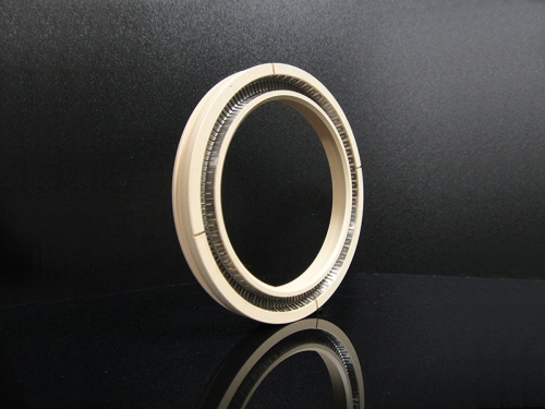 油封(Oil Seal)