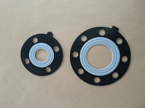 凸環式法蘭墊片(PTFE Bonded EPDM/VITON Gasket)